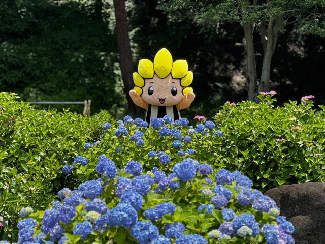 芹沢公園【座間市】